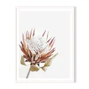 Isolated Framed Printed Wall Art - White
