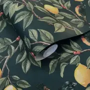 Foliage Teal Wallpaper Birds Botanical Tree Multi Lemon Leaf Trail Holden 13871