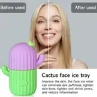 Massager Ice Roller Massager Cactus Shape Silicone Face Ice Roller Mold for Eye