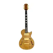 Haze E239GC Semi-Hollow Electric Guitar with Spalted Maple Veneer