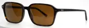 RAY BAN RB2231 Raimond 902/57 Havana Mens Polarized Sunglasses 58-18-145 B:43 B