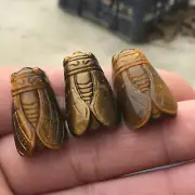 Natural tiger eye stone carved golden cicada.Quartz specimen of reiki skull 1pc