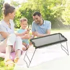 Folding Grid Table Iron Side Hanging Mesh Table for Picnic BBQ Travel (Green) AU