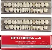 RZJZGZ Synthetic Resin Tooth Denture False Teeth for Halloween Horror Teeth 23 A3(56 Pcs/2Set)