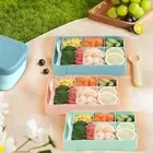 Bento Lunch Kit Meal Prep Container Leak Bento Lunch Box with 6 for Kids