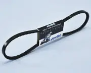 POLINI Belt Without Variator