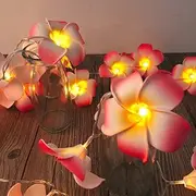 3m 20LEDs Flower String Lights Wedding Garland Decoration Battery or USB Powered Fairy Lights Bedroom Christmas Wedding Holiday Party Valentine's Day Garden De