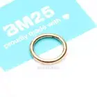 Pure24K Implant Grade Titanium Basic Seamless Hinged Clicker Hoop Ring