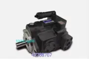 For 1PC KCEICE V23A3R10X plunger pump