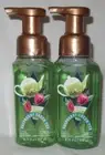 Bath & Body Works Gentle Foaming Hand Soap Lot Set of 2 RASPBERRY GREEN TEA