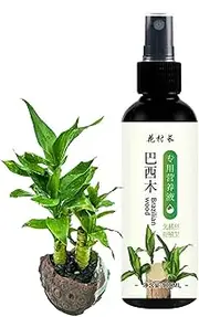 Indoor Plant Food,Special Nutrient Brazil Lucky Wood Hydroponic Plant Food 100ml | Green Radish Liquid Fertilizer for Bonsai & Potted Plant, Without Dilution