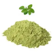 Tulsi Leaf Powder Organic Dried Pure Ocimum Sanctum Holy Basil
