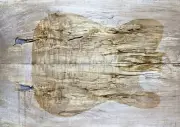 Figure Electric Bass Top Spalted Quilted Maple Wood Stabilised Resin filling