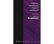 Projection, Identification, Projective Identification