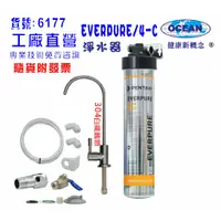 在飛比找蝦皮商城優惠-EVERPURE-4C商用型淨水器.304白鐵鵝頸龍頭過濾貨