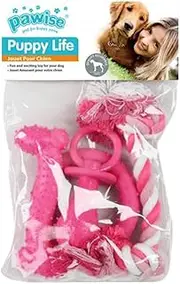 Pawise Puppy Life Teething Toy 4-Pieces Set, Pink