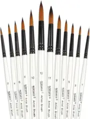 12 PCS round Paint Brushes Set Artist Brush for Acrylic Watercolor Oil Painting