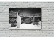 Kill Bill Canvas Wall Art Home Decor FRAMED