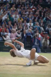 Swedish tennis player Stefan Edberg kneels back on the grass in c - Old Photo 3