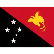 PAPUA NEW GUINEA COUNTRY FLAG | STICKER | DECAL | MULTIPLE STYLES TO CHOOSE FROM