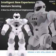 Intelligent Gesture Robot 2.4GHz Remote Control Programmable Robot Kids Toy Gift