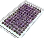 Generic Miniature Flower Cluster, Grass Tufts Model for Railway Railroad Scenery Decoration, Amaranth