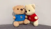 Bear Plushy Toys
