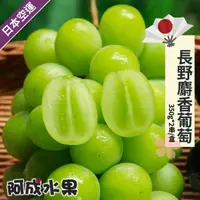 在飛比找momo購物網優惠-【阿成水果】日本空運長野麝香葡萄350g*2串/盒(空運_爽