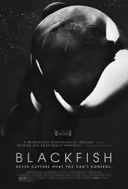 2013 Art Print HULU Documentary Promo Poster "BLACKFISH" Gift Wall Decor Orca