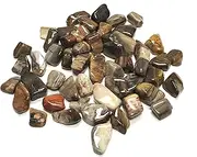 Zentron Crystal Collection Tumbled Petrified Wood - Large 1" Stones in Velvet Bag (1 Pound)