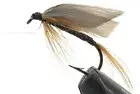 10 Flies - Wet Ginger Quill on a Bronze 8 Mustad Hook