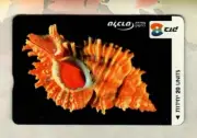 ISRAEL Sea Shells Phone Card #2