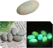 1Pcs"Glow in The Dark" Tibetan Wealth-God Ancient Luminous Stone Old Dzi Bead