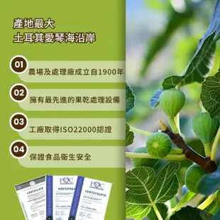 【Onatural 歐納丘】歐納丘純天然土耳其無花果乾200g/罐