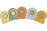 2024 50c Christmas Coins Festive Floral. Set of 5