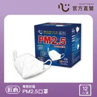 在飛比找momo購物網優惠-【匠心】PM2.5 專業防霾口罩 B級防護(12入/盒)