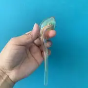 Long Glass Tobacco Pipe Reusable One Hitter 150mm Smoking Cigar Tube Pipe Filter