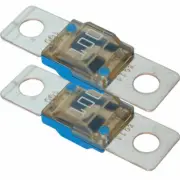 2 x 2 Packs Blue Sea 5256 AMI / MIDI Fuse 100 A Amp (4 fuses total)