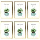 6x Plain Easy Gold A4 Document Certificate Photo Picture Glass Frame Bulk