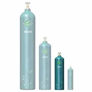 WA Gases CYLD-A-FULL - Argon 4.2 Gas - D Size - Full