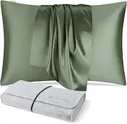DISANGNI 100% Natural Mulberry Silk Pillow case for Hair and Skin with Hidden Zipper 22 Momme Both Sides Real Silk Pillow Case (1pc Standard Size 20" x26" Green)