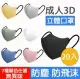 台灣急速出貨 最新莫蘭迪成人3D立體口罩 成人口罩 立體口罩 防塵口罩 10入-包 共7款 - 20片