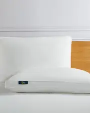 Serta Pack of 2 Goose Feather & Goose Down Fiber Bed Pillows