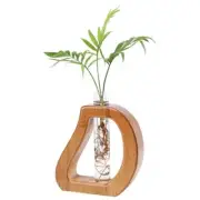 Propagation Stations Hanging Planters Home Decor Plants with Glass Test Brownb