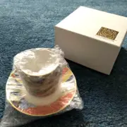 Frank Lloyd Wright March Balloons Coffee Cup & Saucer Noritake