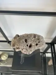 Hag Stone Naturally Holey Beach Rock 4.5" Protection Stone Aquarium decoration
