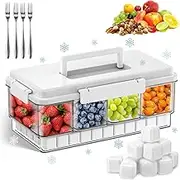 Palksky Snackle Box Container with Lid, Travel Snack Container with Cooler Ice Pack, Chilled Portable Divided Serving Tray with Lid, Beach Essentials for Family