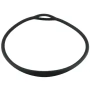 Keep Your Regulator Ready with Chin level Necklace Dive without Worries