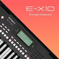 在飛比找Yahoo!奇摩拍賣優惠-【全新】Roland E-X10 專業自動伴奏電子琴 直購價