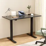 Artiss Electric Standing Desk Computer Desks Ergonomic Sit Stand Table 120cm